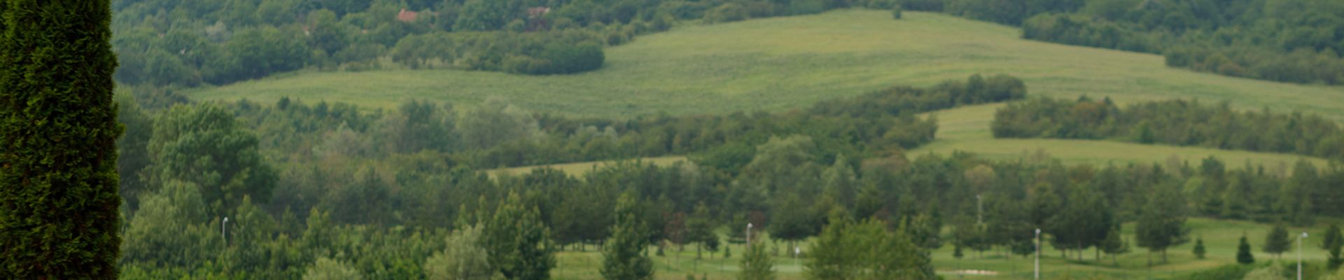 Swine Gut Health Seminar for Veterinary Practitioners