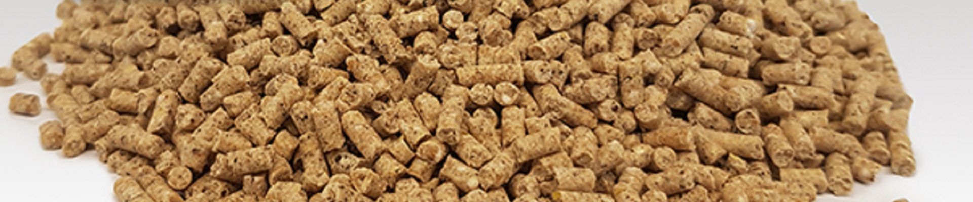 Intrinsic Heat Stability of a Phytase