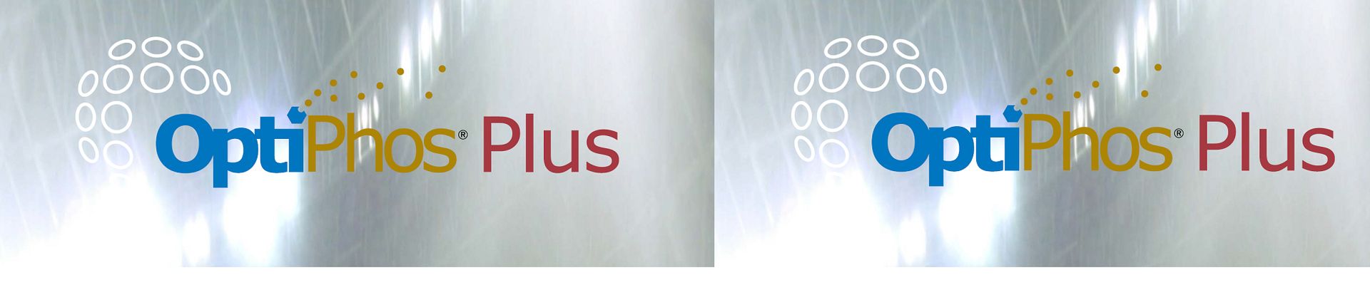 OptiPhos® Plus: Recommendations for Feed Cost Savings