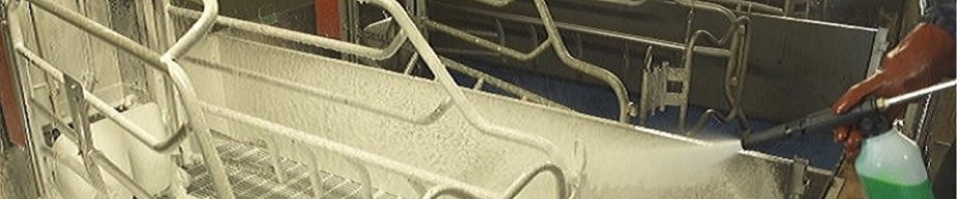 Biofilms And Drinking Water Treatment