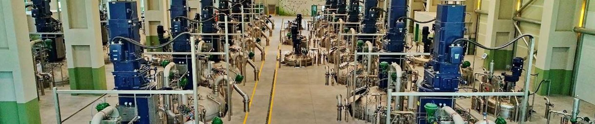 Criteria for Selecting a Fast Phytase