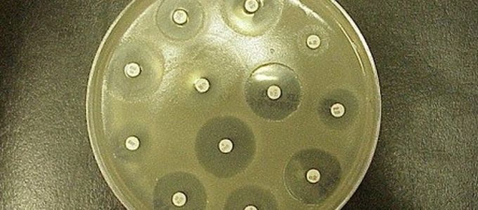 Prudent Use of Antibiotics