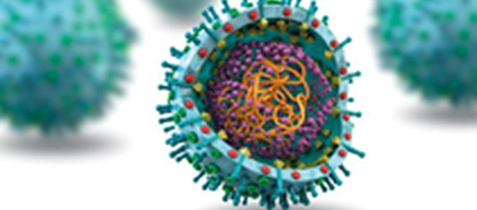 Effectiveness of Tilmicosin (Tilmovet®) Against PRRS and Complicated …