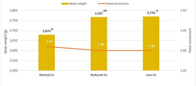 Effect of Ca Levels on Performance, Bone Ash …