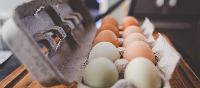 Probiotiques et pondeuses: Un bon mariage