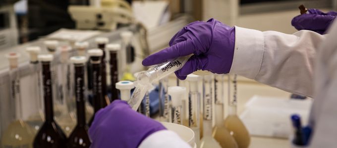 How Butyrate Producing Bacteria Can Support Food Safety