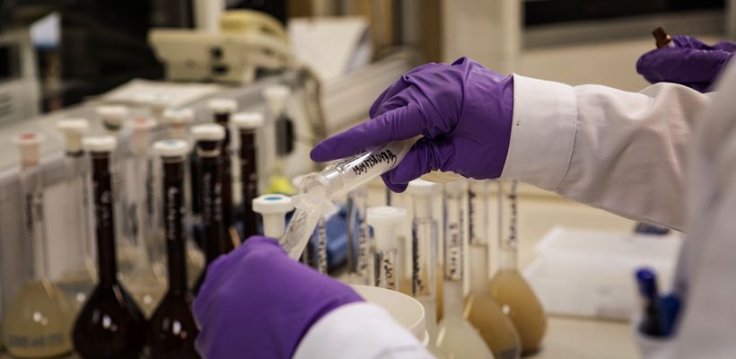 How Butyrate Producing Bacteria Can Support Food Safety