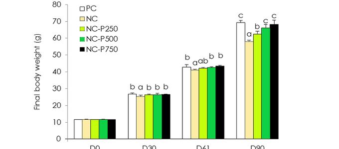 OptiPhos® Improves the Growth Performance of Rainbow Trout …