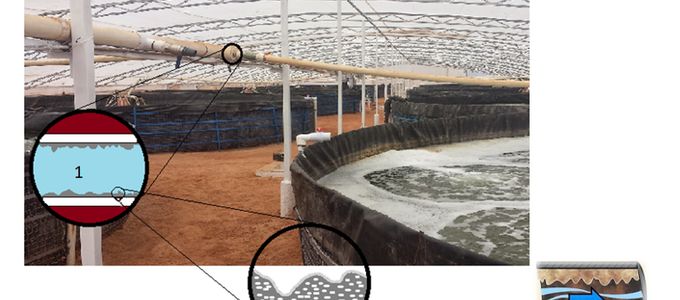 Efficacy Of Huvepharma's Hygiene Products In Aquaculture