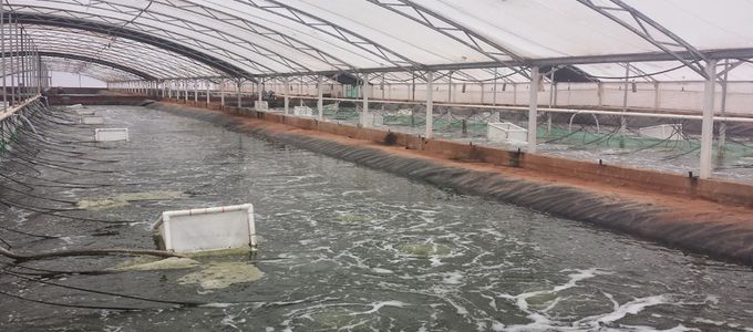 Cleaning And Disinfection Procedures In Aquaculture Using Huvepharma …