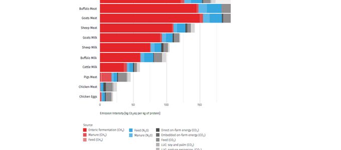 Greenhouse Gases And Carbon Footprint: What Are They?