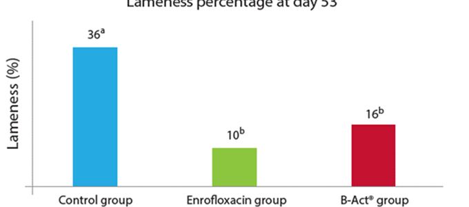 Bacterial Lameness And The (Non)Sense Of Probiotics