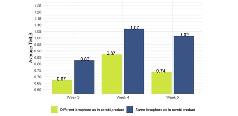 Choosing The Best Coccidiosis Control Programme Is A Critical Decision