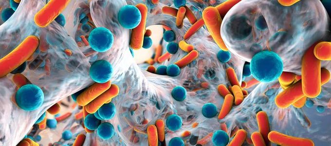 The Impact of Biofilms on Animal Health