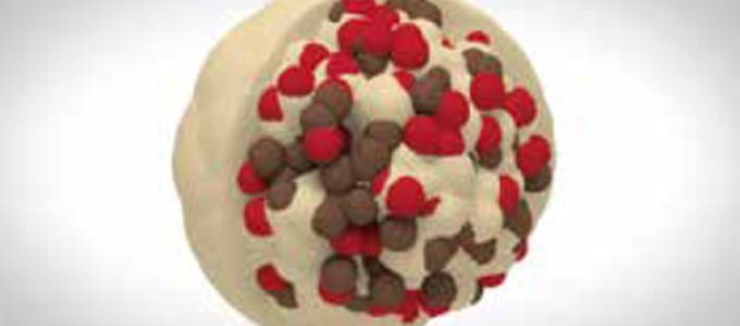 Monimax® - The Reliable Solution