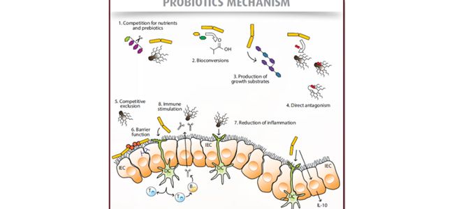 How to Make Sense of the Current Probiotic …