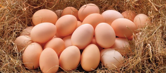 The Cost Saving Reformulation Tool for Laying Hen …