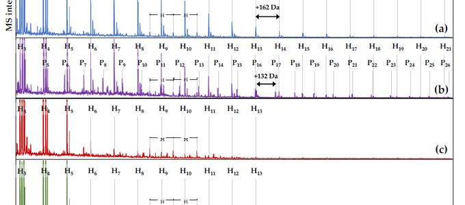 Impact of Xylanase and Glucanase on Oligosaccharide Formation, …