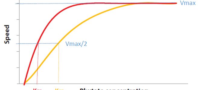 Intrinsic Heat Stability of a Phytase