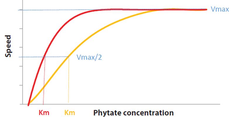 Intrinsic Heat Stability of a Phytase