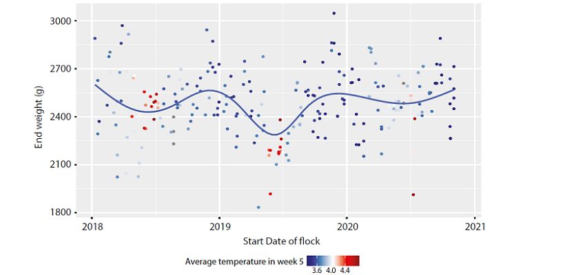 The Importance of Monitoring Broiler Flock Health
