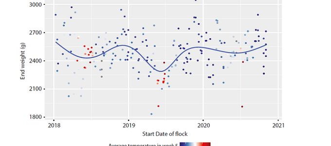The Importance of Monitoring Broiler Flock Health