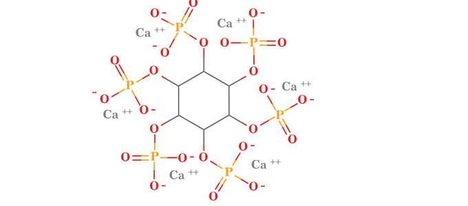 Effect of Ca Levels on Performance Bone Ash …