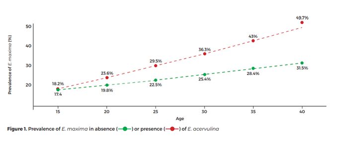 Association Between the Prevalence of E. acervulina and …