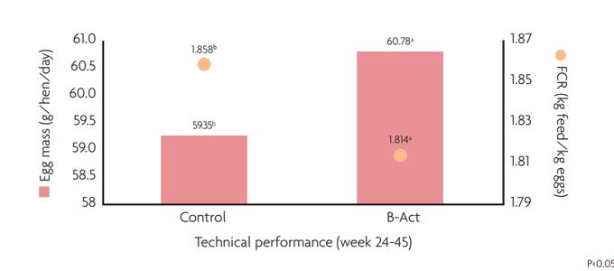 Application of Probiotics For High-Producing Laying Hens
