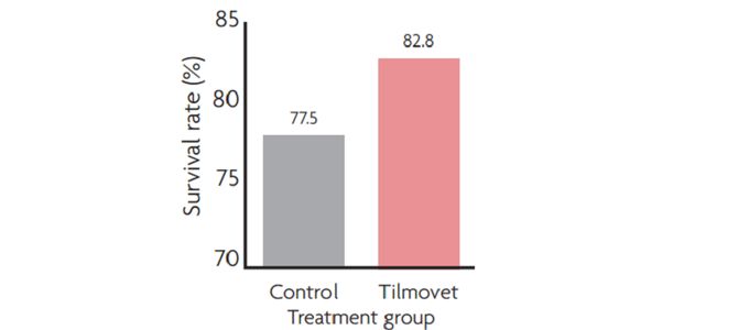 The Effect of Tilmovet® Water Medication for PRRS-Positive …