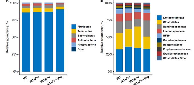 Bacillus Licheniformis And Phytase Mixture Affect Growth Performance, …