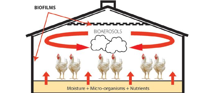 Biosecurity: In The Sphere Of Bio-Aerosols
