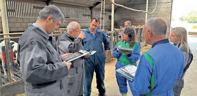 A New Digital Platform To Strengthen Biosecurity In Calf Rearing
