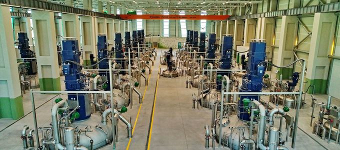 Processing Stability of Enzymes Beyond Nutrition