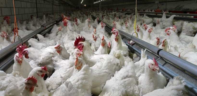 What Environmental Benefits Do Our Products Bring Our Customers?