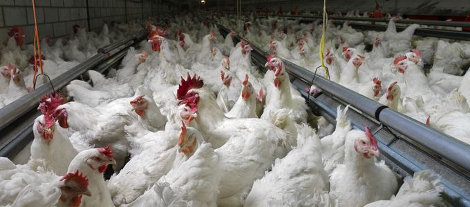 What Environmental Benefits Do Our Products Bring Our …