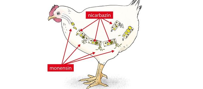 Monimax® - Efficacy and Performance