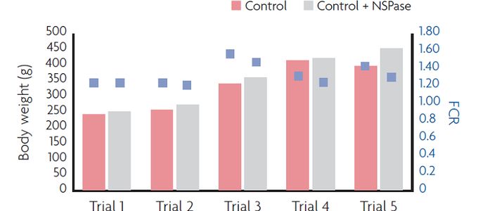 Understanding the Key Role of NSPases in Early …