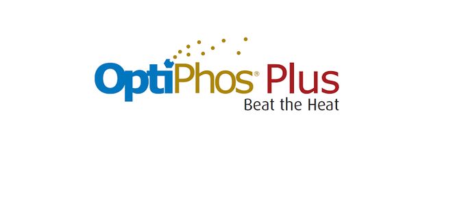 Thermostability of OptiPhos® Plus