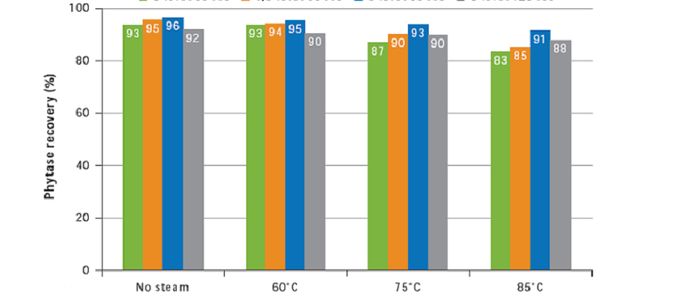 The Pelleting Process: Factors Influencing Phytase Recovery