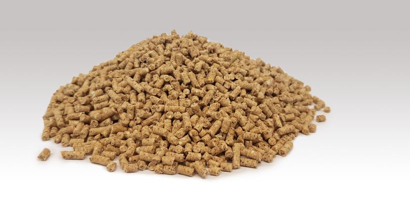 OptiPhos® Plus: Recommendations for Feed Cost Savings