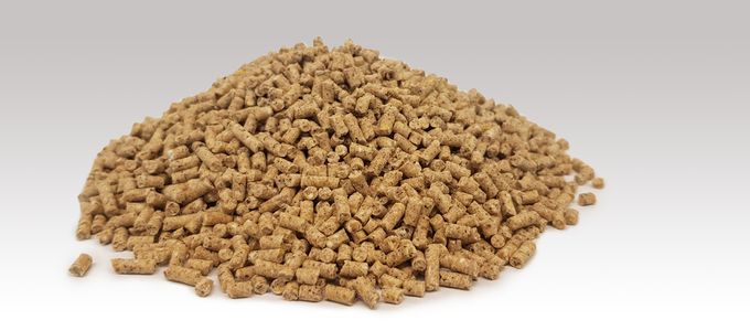 OptiPhos® Plus: Recommendations for Feed Cost Savings