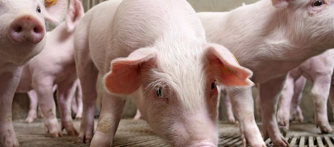 Improving the Outcome of Antimicrobial Treatment