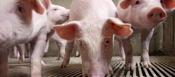 Reasons To Use HydroTrim® Water Soluble For The …