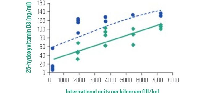 Fermentation And Innovation: Enhancing The Bioavailability Of Vitamin …