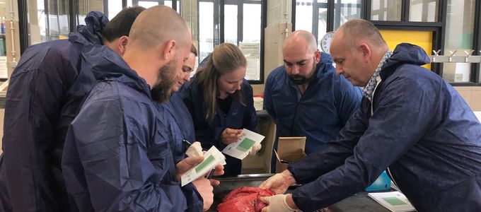 Respiratory Health Seminar for Pig Vet Practitioners in …