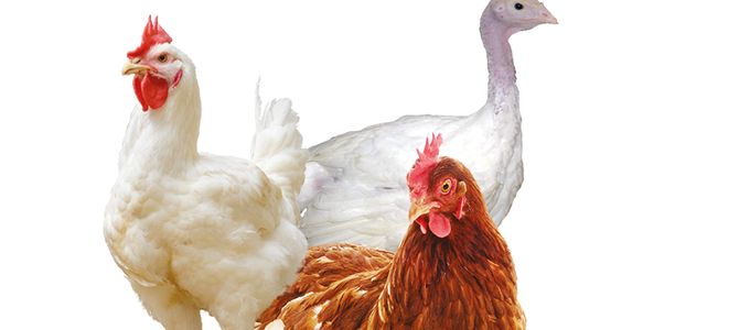 Treatment as Part of a Global Strategy to …