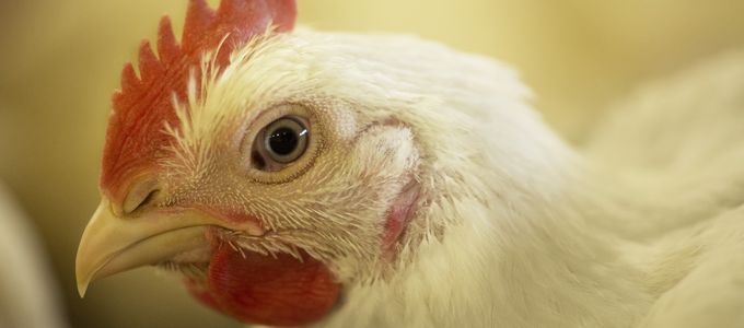 Aviapp® - Annual Report for Europe 2022