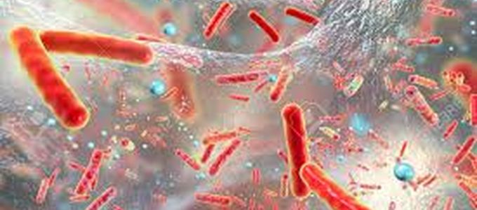 Biofilms: Bacteria Under Cover