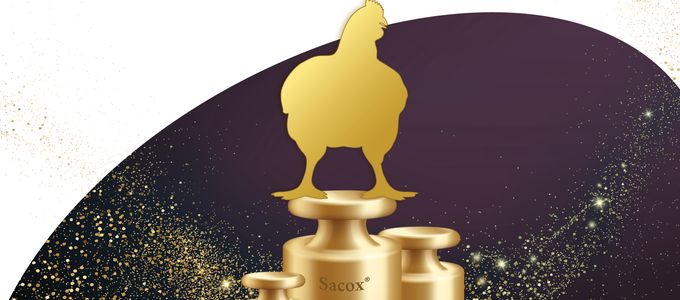 Sacox - The Gold Standard